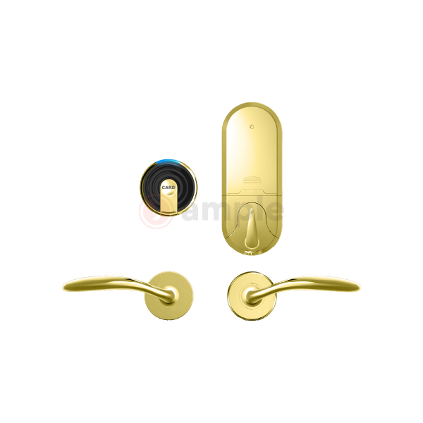 Level-LIS2008-MF-1660-SPVD-Smart-Lock-1